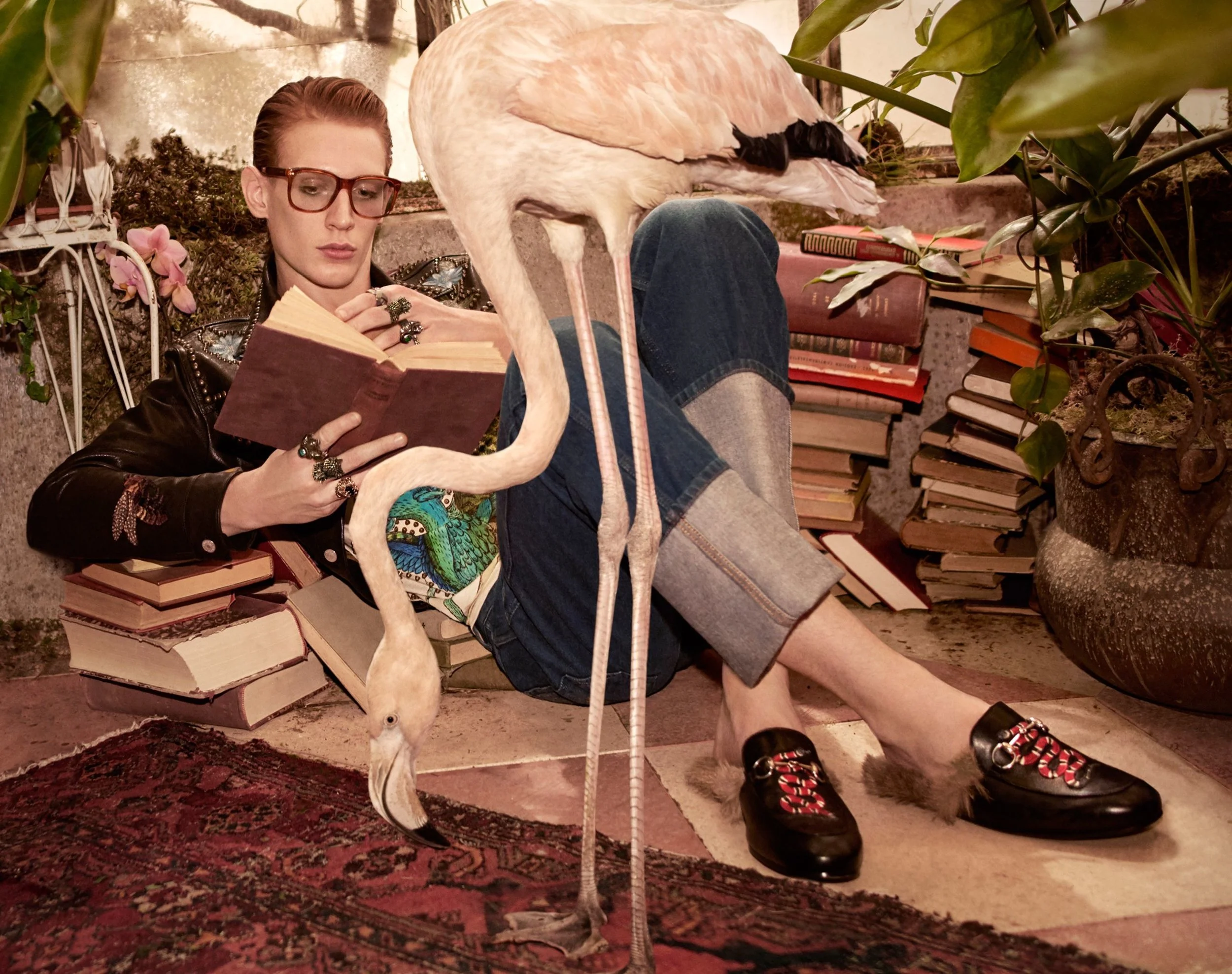 gucci pre-fall 2016 — Mabel Nash Greenberg